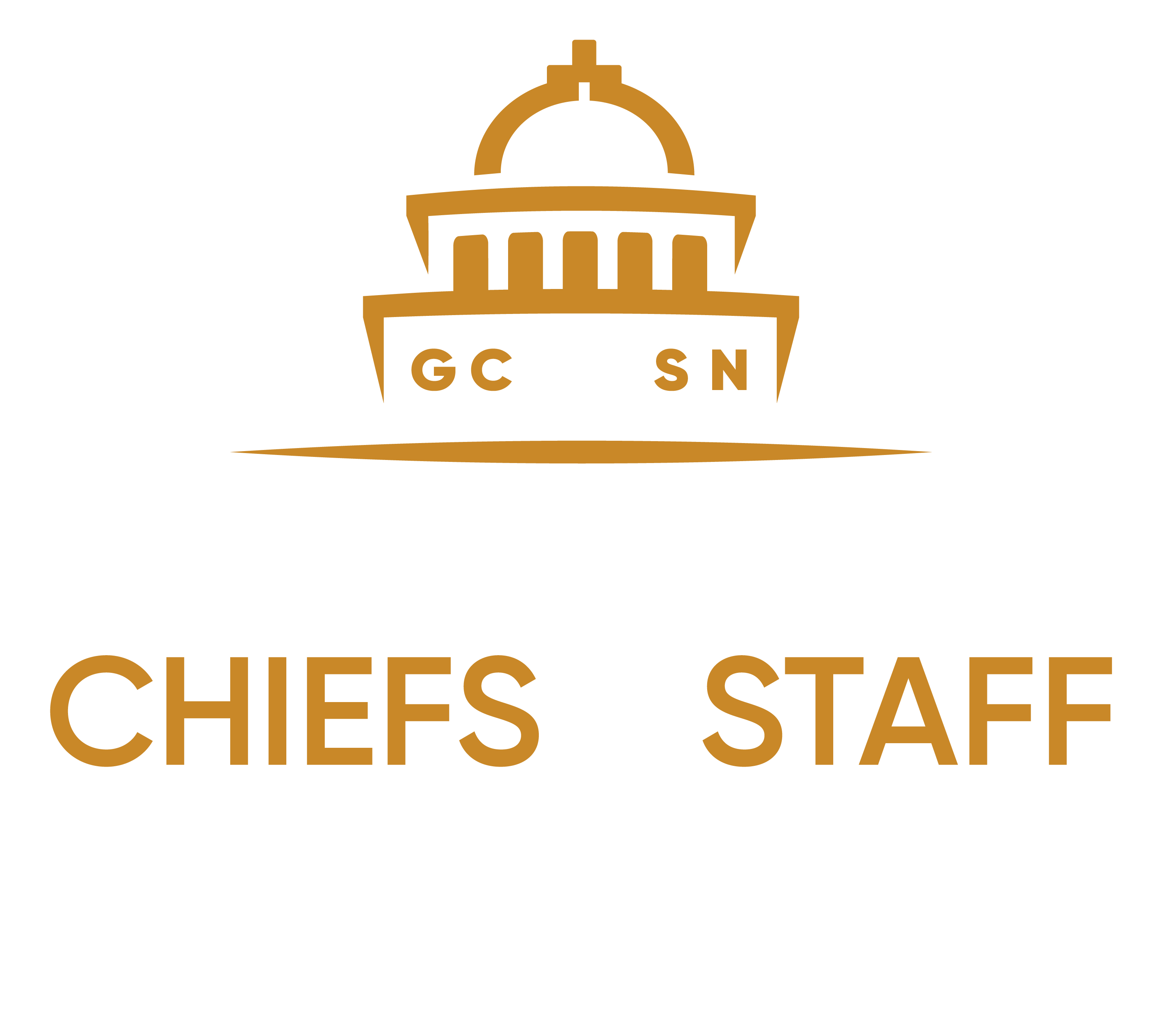Governors' Chiefs of Staff Network